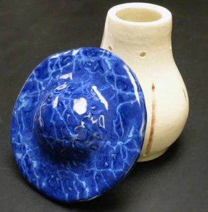 Mushroom Fruit Fly Trap 3 Mushroom Fruit Fly Trap