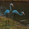 Steel Heron Pair Garden Sculptures 1 Steel Heron Pair Garden Sculptures -Koziol Houses Shop ANCIENT919 smll