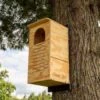 Barred Owl House Assembled Or Kit -Koziol Houses Shop Barred Owl House