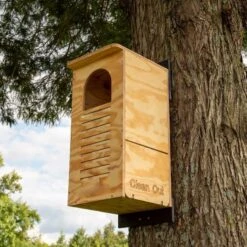 Barred Owl House Assembled Or Kit