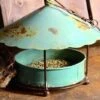 Birdie Buffet Rustic Hanging Feeder -Koziol Houses Shop Birdie Buffet