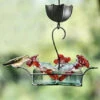 Bouquet Classic Hummingbird Feeder -Koziol Houses Shop Bouquet 3 Clear