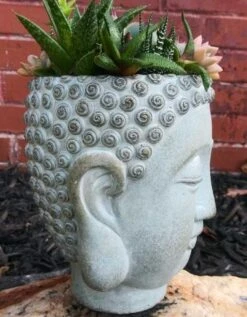 Buddha Head Planter -Koziol Houses Shop Buddha Head Planter side view