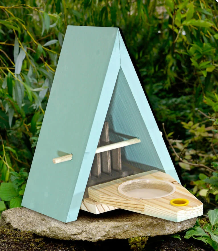 Butterfly Biome Habitat 3 Butterfly Biome Habitat