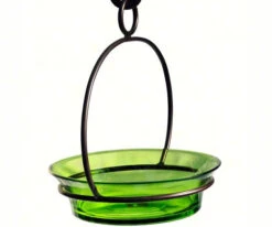 Glass Globe Dish Feeder/Mini-Bath- Red Or Lime -Koziol Houses Shop COURM33720001