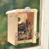 Window View Birdhouse Kit -Koziol Houses Shop CS window nest 1cf24002 588a 4351 acc2 319403ac5724