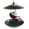 Cardinal Bistro Hanging Bird Feeder -Koziol Houses Shop Cardinal Bistro Hanging Bird Feeder