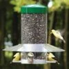 Classic Squirrel Proof Hanging Bird Feeder 12" -Koziol Houses Shop Classic Hanging Squirrel Proof Bird Feeder
