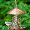 Antique Classic Copper Bird Feeder -Koziol Houses Shop Classic Perch Bird Feeder