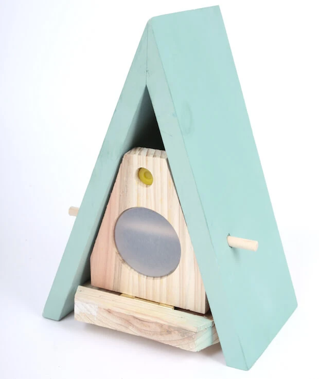 Butterfly Biome Habitat 4 Butterfly Biome Habitat - Image 2