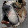 Bull Dog Ceramic Birdhouse -Koziol Houses Shop DF 11 WM58 8cf0c26c 1f2f 46fa b6de dee16dd611dc