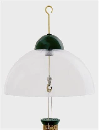 Droll Yankees Squirrel Guard Dome 3 Droll Yankees Squirrel Guard Dome