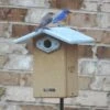 Deluxe Reycled Bluebird House-NABS Approved -Koziol Houses Shop Deluxe Recycled Bluebird House