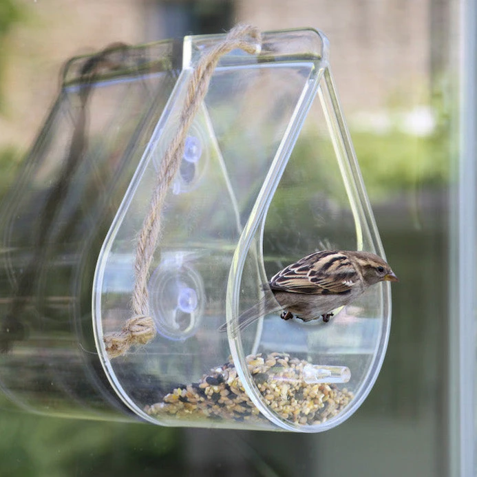 Dew Drop Window Bird Feeder 3 Dew Drop Window Bird Feeder