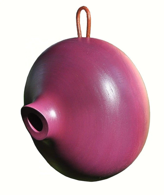 Ellipse Wooden Birdhouse- 3 Colors 5 Ellipse Wooden Birdhouse- 3 Colors - Image 3
