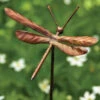 Dragonfly Garden Stakes- Set/4 2 Dragonfly Garden Stakes- Set/4 -Koziol Houses Shop Flamed Dragonfly Garden Stakes