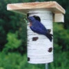 Gilbertson Nest Box - NABS Approved -Koziol Houses Shop GILBERTSON 92558003 474a 4819 8b0d f12a17466274