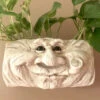 Grandpa Wall Planter -Koziol Houses Shop Grandpa Wall Planter