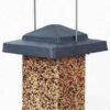 Vista Squirrel Proof Bird Feeder -Koziol Houses Shop HF75160