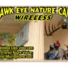 Hawk-Eye Wireless Spy Camera For Birdwatching -Koziol Houses Shop Hawk Eye Wireless Spy Camera