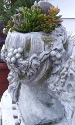 Large Lady Head Planter 12 Large Lady Head Planter -Koziol Houses Shop Lady Head Planter Back Detail