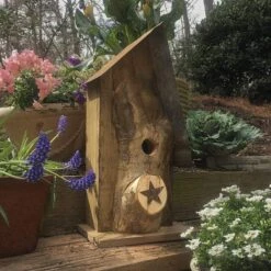 Rustic Log Front Birdhouses- 2 Sizes -Koziol Houses Shop Log Front Birdhouse 1