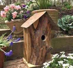Rustic Log Front Birdhouses- 2 Sizes -Koziol Houses Shop Log Front Birdhouse 3