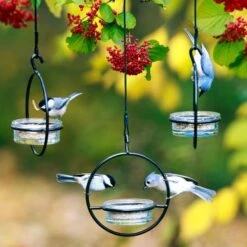 Orb Mealworm & Multi-Use Bird Feeder 6 Orb Mealworm & Multi-Use Bird Feeder -Koziol Houses Shop Mutli use orb feederfor all birds