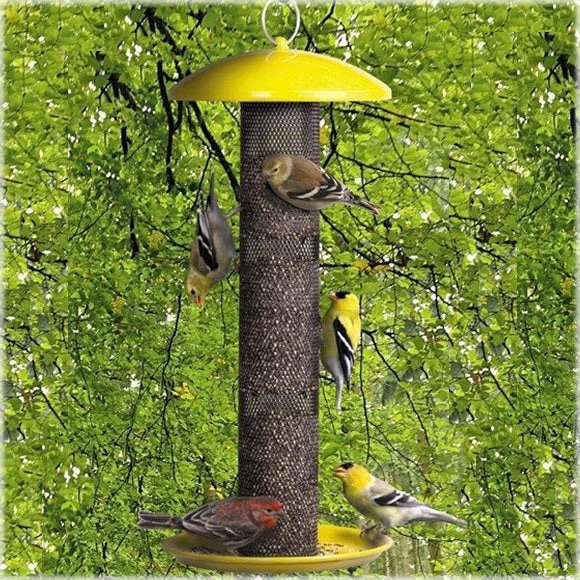Yellow Finch Feeder By No-No 3 Yellow Finch Feeder By No-No