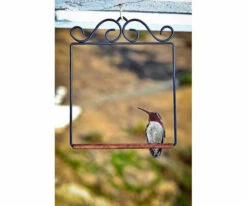 Pop's Hummingbird Swing -Koziol Houses Shop POPSWINGBL