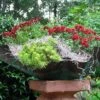 Patina Copper Planter Or Birdbath -Koziol Houses Shop Patina Copper Planter or Bird Bath