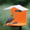 Recycled Pole Mount Oriole Feeder With Roof -Koziol Houses Shop Pole Mount Oriole Feeder with Roof