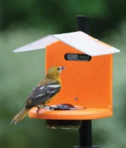 Recycled Pole Mount Oriole Feeder With Roof