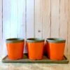 Poppy Triple Herb Planters- Detached Tray -Koziol Houses Shop Poppy Triple Herb Planters