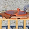Cedar Heated Deck Mount Bird Bath 1 Cedar Heated Deck Mount Bird Bath -Koziol Houses Shop SE501 2new