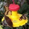 Butterfly Feeder With Nectar - Hang Or Pole Mount -Koziol Houses Shop SE78215new
