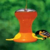 Large Capacity Oriole Bird Feeders -Koziol Houses Shop SEBCO230 1