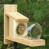 Songbird Cedar Squirrel Jar Feeder -Koziol Houses Shop SESCS412 0b721b16 73ab 4ed3 8b42 020017c90904