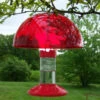 Dr. JB's Clean Hummingbird Feeder & Hummer Helmet -Koziol Houses Shop SESQ83R 0f383c47 059e 4214 ba45 ee575659f256