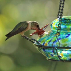 Solar Glass Hummingbird Feeder With Perch -Koziol Houses Shop Solar Hummingbird Feeder Detail