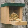Squirrel Feeder Munch Box -Koziol Houses Shop Squirrel Feeder Munch Box 9d264437 5220 4067 8918 81c3c50201b8