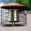 Squirrel Proof Double Suet Feeder -Koziol Houses Shop Squirrel Proof Suet Feeder