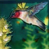 Ceramic Art Tile-Hummingbird 4x4 -Koziol Houses Shop TC HUMBRD