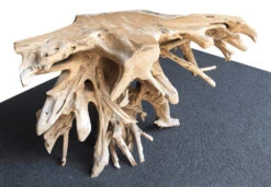 Teak Root Console Table -Koziol Houses Shop Teak Root Console Table 50 inch