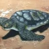 Sea Turtle Ceramic Tile -Koziol Houses Shop Turtle Ceramic Tile