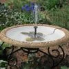 Large Solar Fountain Bird Bath -Koziol Houses Shop White Solar Fountain Bird Bath