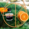 Clementine Oriole Feeder -Koziol Houses Shop clementine 2C