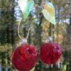 Double Cherry Hummingbird Feeder -Koziol Houses Shop double cherry glass hummingbird feeder