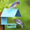 Fence-Post Bluebird Feeder- Blue Or Orange -Koziol Houses Shop fence post bird feeder blue
