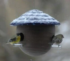 Gourd Bird Feeder -Koziol Houses Shop gourd feeder detail